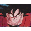 goku1.gif
