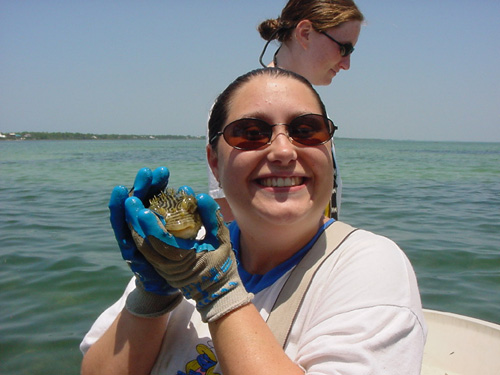 loriburrfish.jpg