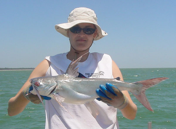 mutantcatfish.jpg